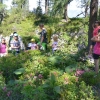 Familienwochenende Wurzeralm